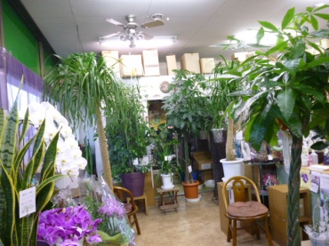 「マミ・ブラウン」　（栃木県栃木市）の花屋店舗写真2
